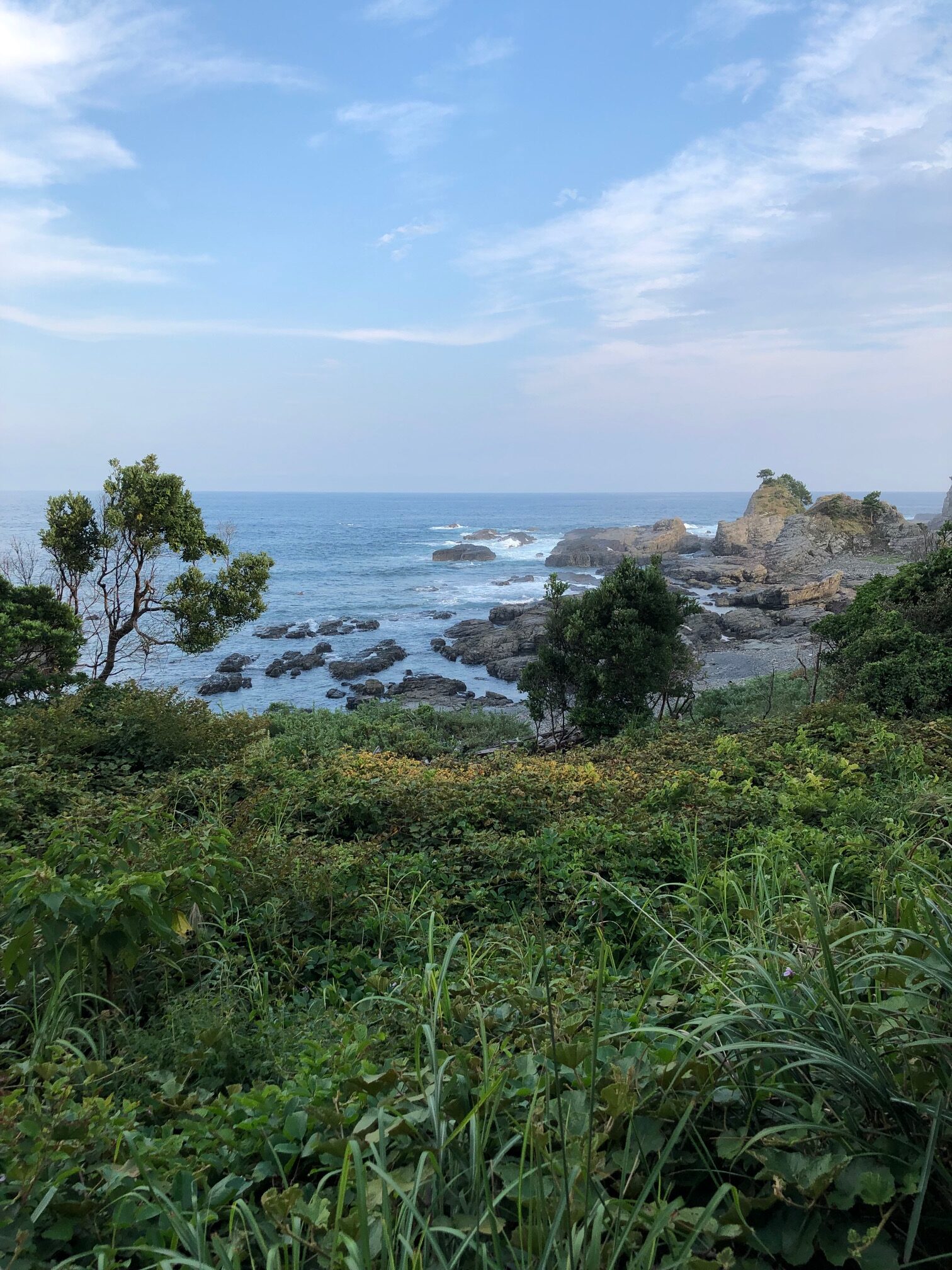 南紀鍼灸接骨院から10分程の海景色です。